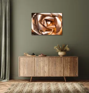 Impresi Obraz Abstrakt zlatá ruža - 70 x 50 cm