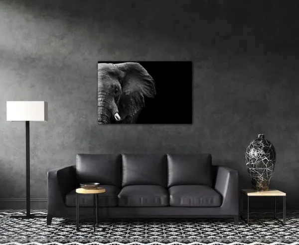 Impresi Obraz Slon na čiernom pozadí - 90 x 60 cm