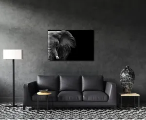 Impresi Obraz Slon na čiernom pozadí - 90 x 60 cm