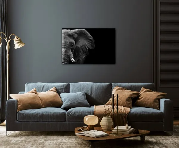 Impresi Obraz Slon na čiernom pozadí - 90 x 60 cm
