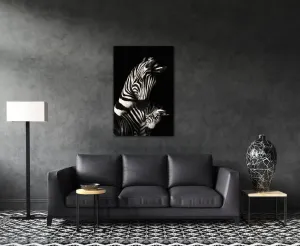 Impresi Obraz Zebry čiernobiele - 40 x 60 cm