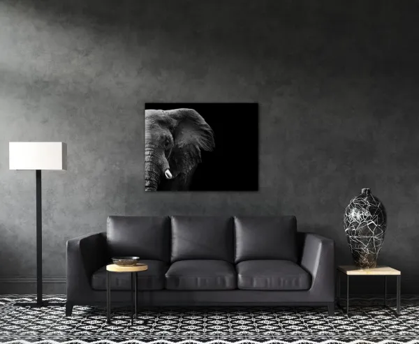 Impresi Obraz Slon na čiernom pozadí - 90 x 70 cm