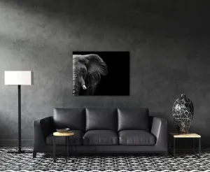 Impresi Obraz Slon na čiernom pozadí - 90 x 70 cm