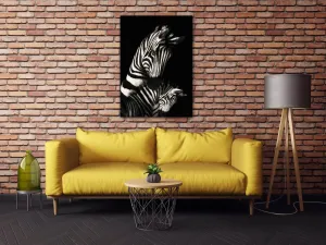 Impresi Obraz Zebry čiernobiele - 50 x 70 cm