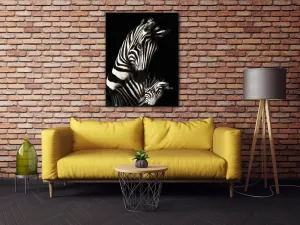 Impresi Obraz Zebry čiernobiele - 70 x 90 cm