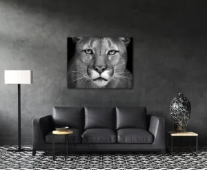 Impresi Obraz Šelma - 90 x 70 cm