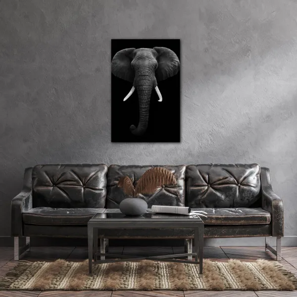 Impresi Obraz Slon čiernobiely - 60 x 90 cm