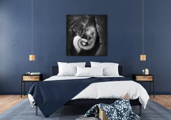 Impresi Obraz Slon čiernobiely - 60 x 60 cm