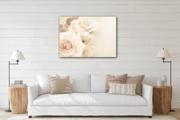 Impresi Obraz Ruže svetlé - 70 x 50 cm