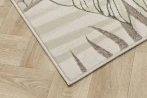 Koberec Allora Plus F784A lístie, krémový / zelený