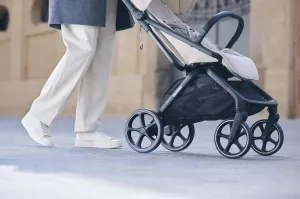 EASYWALKER Kočík športový Rockey L Smooth Grey