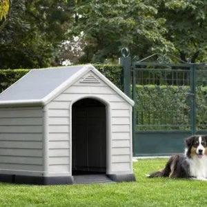 CURVER búda pre psov Dog House sivá, 95 x 99 x 99 cm