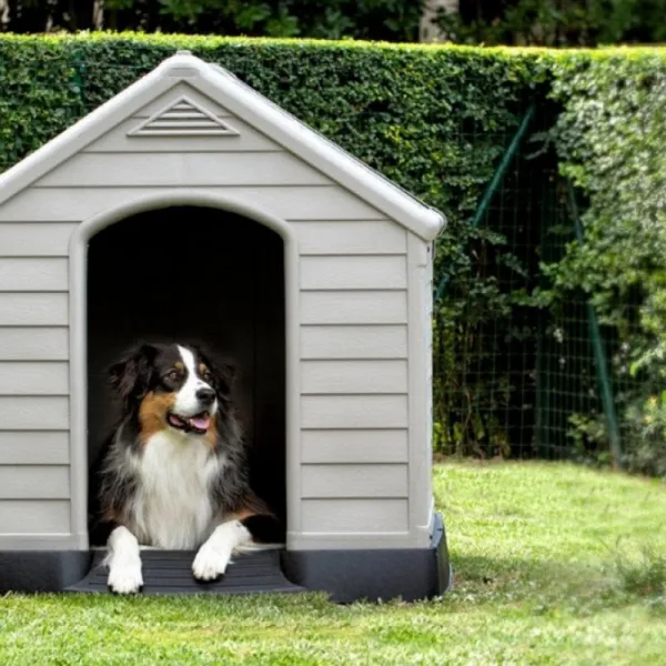 CURVER búda pre psov Dog House sivá, 95 x 99 x 99 cm