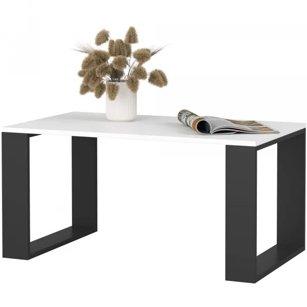 Ak furniture Konferenční stolek Nox bílý/černý