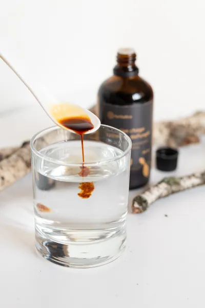 Befungin - tinktúra s extraktom z čagy sibírskej - 100 ml - Herbatica