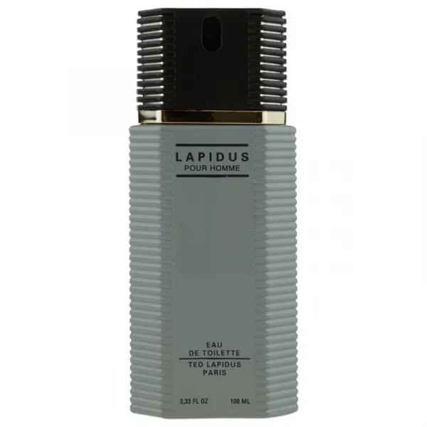 Ted Lapidus Lapidus Pour Homme toaletná voda pre mužov 100 ml