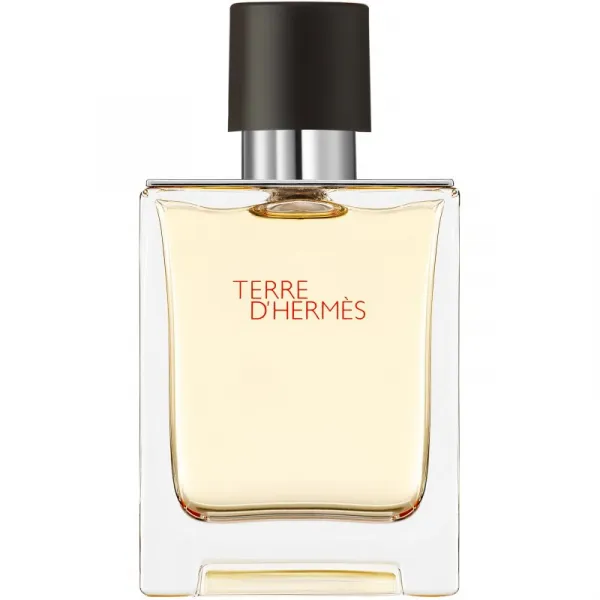HERMÈS Terre d’Hermès toaletná voda pre mužov 50 ml
