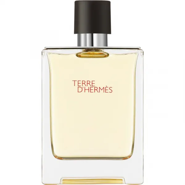 HERMÈS Terre d’Hermès toaletná voda pre mužov 100 ml