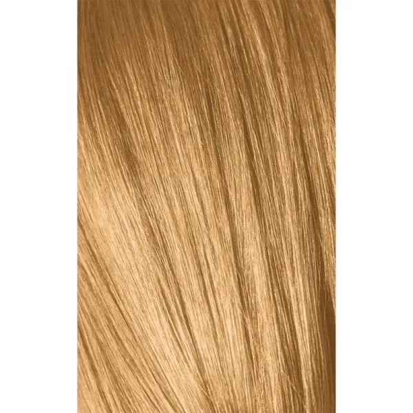 Schwarzkopf Professional IGORA Royal Absolutes farba na vlasy odtieň 9-50 Extra Light Blonde Gold Natural 60 ml