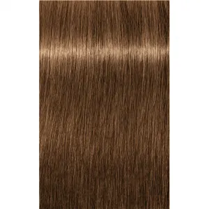 Schwarzkopf Professional IGORA Royal Absolutes farba na vlasy odtieň 7-50 Medium Blonde Gold Natural 60 ml