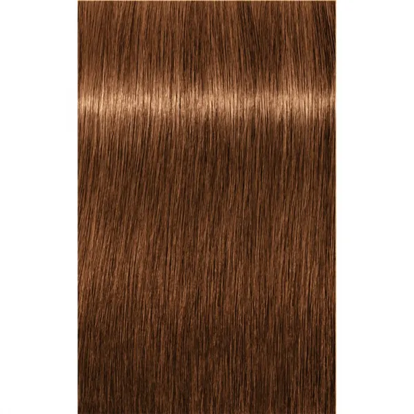 Schwarzkopf Professional IGORA Royal Absolutes farba na vlasy odtieň 7-60 Medium Blonde Chocolate Natural 60 ml