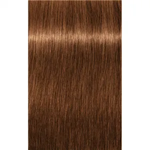 Schwarzkopf Professional IGORA Royal Absolutes farba na vlasy odtieň 7-60 Medium Blonde Chocolate Natural 60 ml