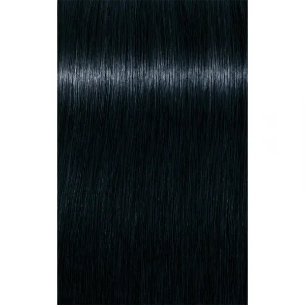 Schwarzkopf Professional IGORA Royal farba na vlasy odtieň 1-1 Black Cendré 60 ml