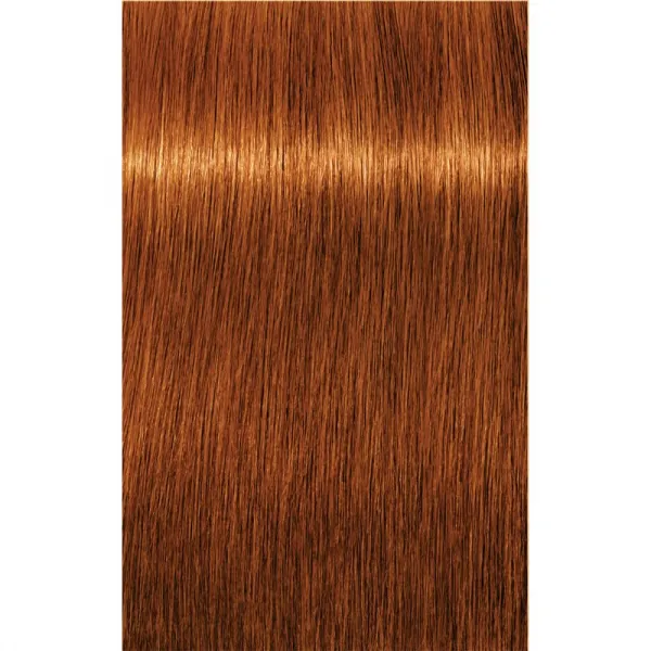 Schwarzkopf Professional IGORA Royal Absolutes farba na vlasy odtieň 7-70 Medium Blonde Copper Natural 60 ml