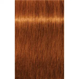 Schwarzkopf Professional IGORA Royal Absolutes farba na vlasy odtieň 7-70 Medium Blonde Copper Natural 60 ml