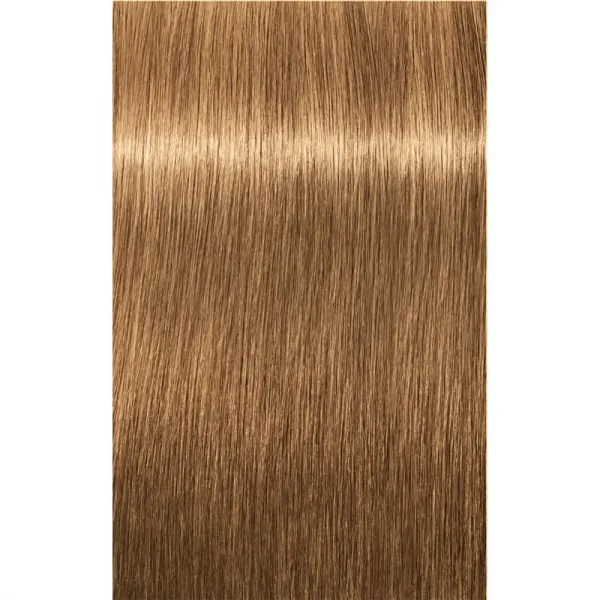 Schwarzkopf Professional IGORA Royal Absolutes farba na vlasy odtieň 8-50 Light Blonde Gold Natural 60 ml