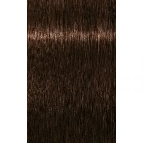 Schwarzkopf Professional IGORA Royal farba na vlasy odtieň 4-6 Medium Brown Chocolate 60 ml