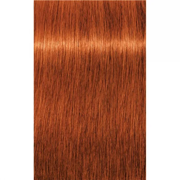 Schwarzkopf Professional IGORA Royal farba na vlasy odtieň 7-77 Medium Blonde Copper Extra 60 ml