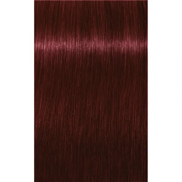 Schwarzkopf Professional IGORA Royal farba na vlasy odtieň 4-88 Medium Brown Red Extra 60 ml