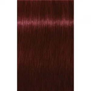 Schwarzkopf Professional IGORA Royal farba na vlasy odtieň 4-88 Medium Brown Red Extra 60 ml