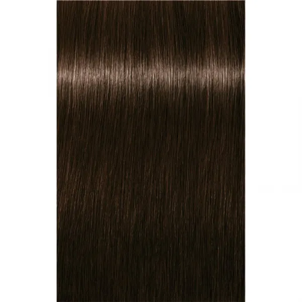 Schwarzkopf Professional IGORA Royal farba na vlasy odtieň 3-65 Dark Brown Chocolate Gold 60 ml