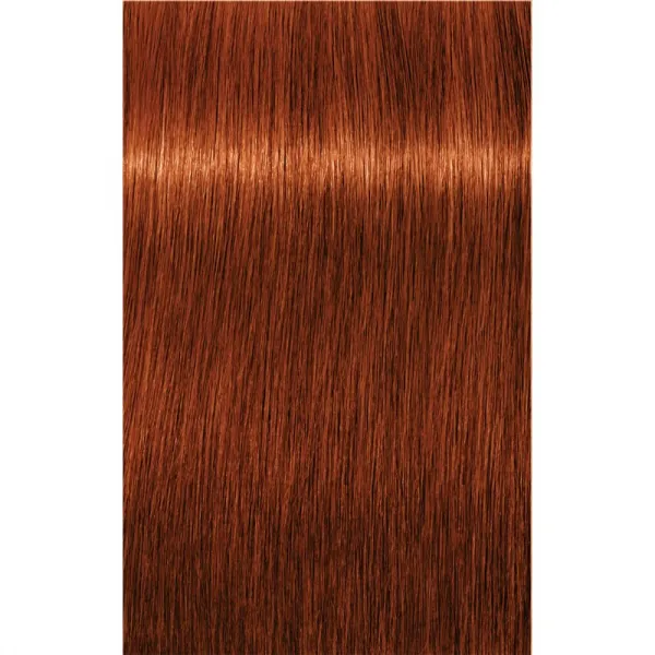 Schwarzkopf Professional IGORA Royal farba na vlasy odtieň 6-77 Dark Blonde Copper Extra 60 ml