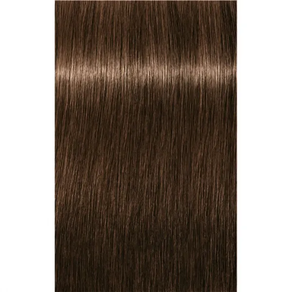 Schwarzkopf Professional IGORA Royal farba na vlasy odtieň 5-65 Light Brown Chocolate Gold 60 ml
