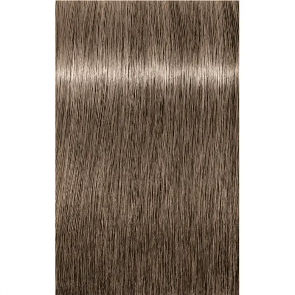 Schwarzkopf Professional IGORA Royal farba na vlasy odtieň 8-1 Light Blonde Cendré 60 ml