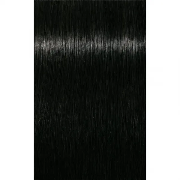 Schwarzkopf Professional IGORA Royal farba na vlasy odtieň 1-0 Black Natural 60 ml