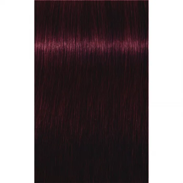 Schwarzkopf Professional IGORA Royal farba na vlasy odtieň 4-99 Medium Brown Violet Extra 60 ml