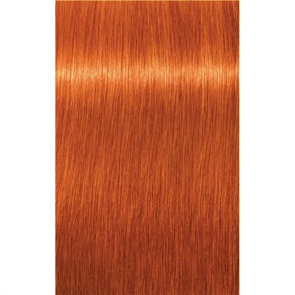 Schwarzkopf Professional IGORA Royal farba na vlasy odtieň 8-77 Light Blonde Copper Extra 60 ml