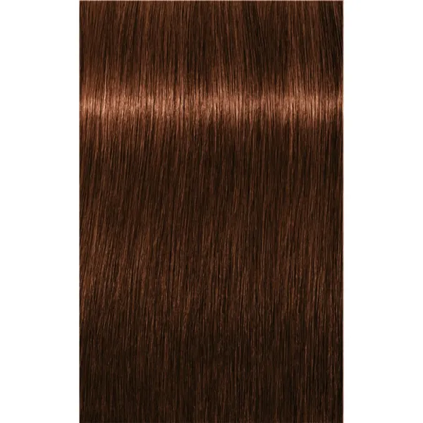 Schwarzkopf Professional IGORA Royal farba na vlasy odtieň 5-7 Light Brown Copper 60 ml