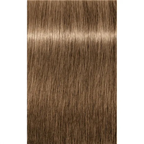 Schwarzkopf Professional IGORA Royal farba na vlasy odtieň 8-00 Light Blonde Natural Extra 60 ml