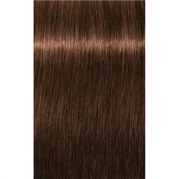 Schwarzkopf Professional IGORA Royal farba na vlasy odtieň 5-6 Light Brown Chocolate 60 ml