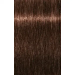 Schwarzkopf Professional IGORA Royal farba na vlasy odtieň 5-6 Light Brown Chocolate 60 ml