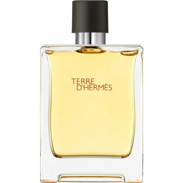 HERMÈS Terre d’Hermès parfém pre mužov 200 ml