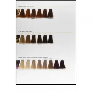 L’Oréal Professionnel Inoa ODS2 farba na vlasy odtieň 1 60 g
