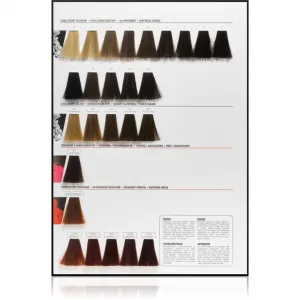 L’Oréal Professionnel Inoa ODS2 farba na vlasy odtieň 1 60 g