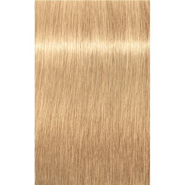 Schwarzkopf Professional IGORA Royal farba na vlasy odtieň 9,5-4 Pastel Beige 60 ml