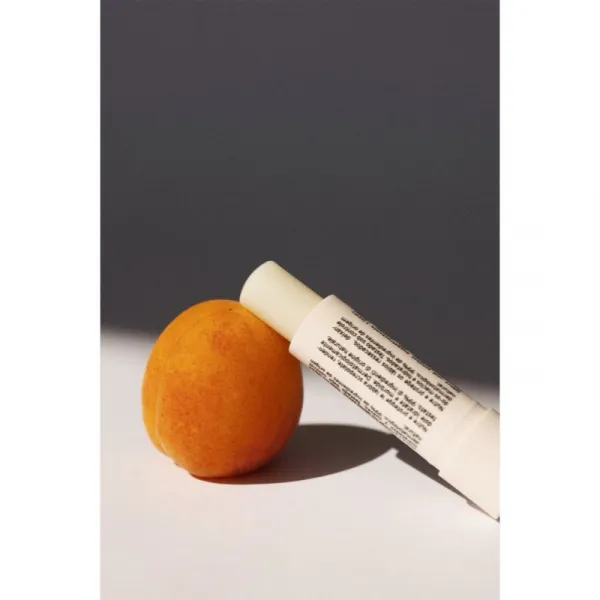 Embryolisse Stick Lèvres ochranný balzam na pery s hydratačným účinkom 4 g